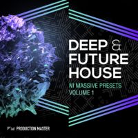 Future house massive presets
