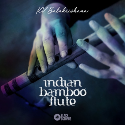 KV Balakrishnan Indian Bamboo Flute
