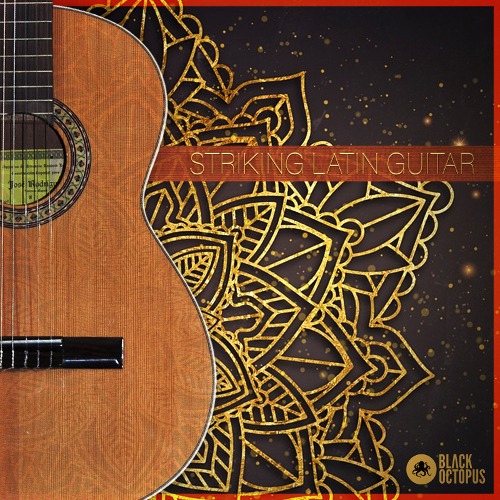 Striking Latin Guitar