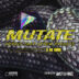 Mutate - Hybrid Trap by Wolf-e-Wolf - Serum Presets