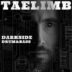Taelimb - Darkside Drum & Bass