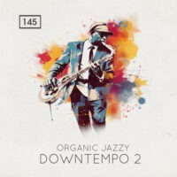 Organic Jazzy Downtempo 2
