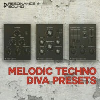 RS - Melodic Techno Diva Presets